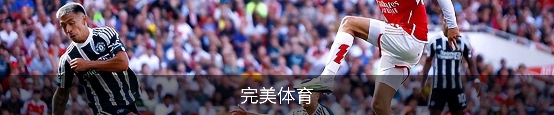 完美体育
